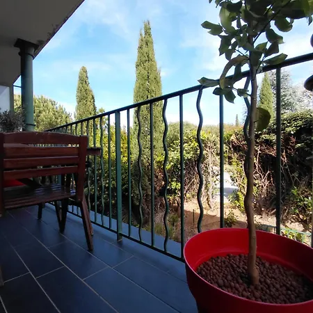 Premium T3 Piscine